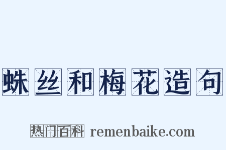 蛛丝和梅花造句是什么意思的图片